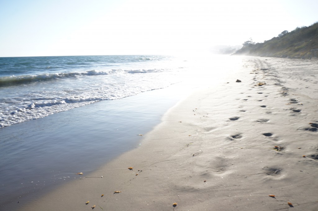 Beautiful Beach Walk in Santa Barbara. Cannot have enough of these (Photo by Adele de Batz)