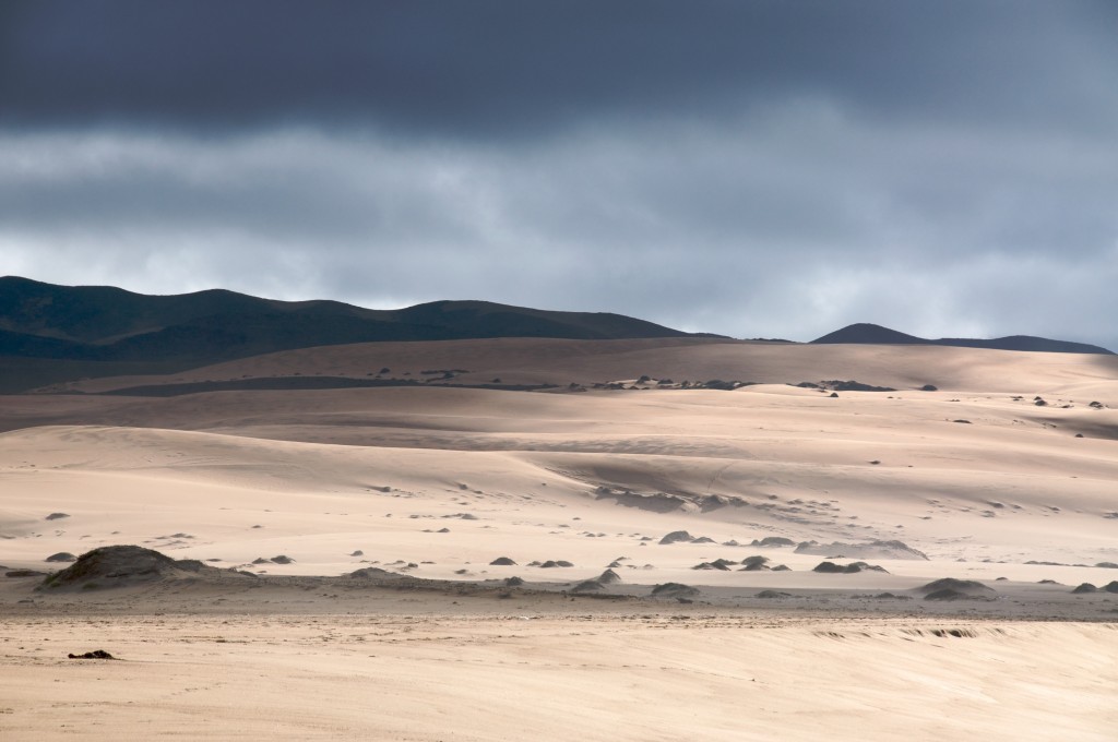 Guadalupe-Nipomo Dunes | Guadalupe, CA | Photo Courtesy of Creative Commons