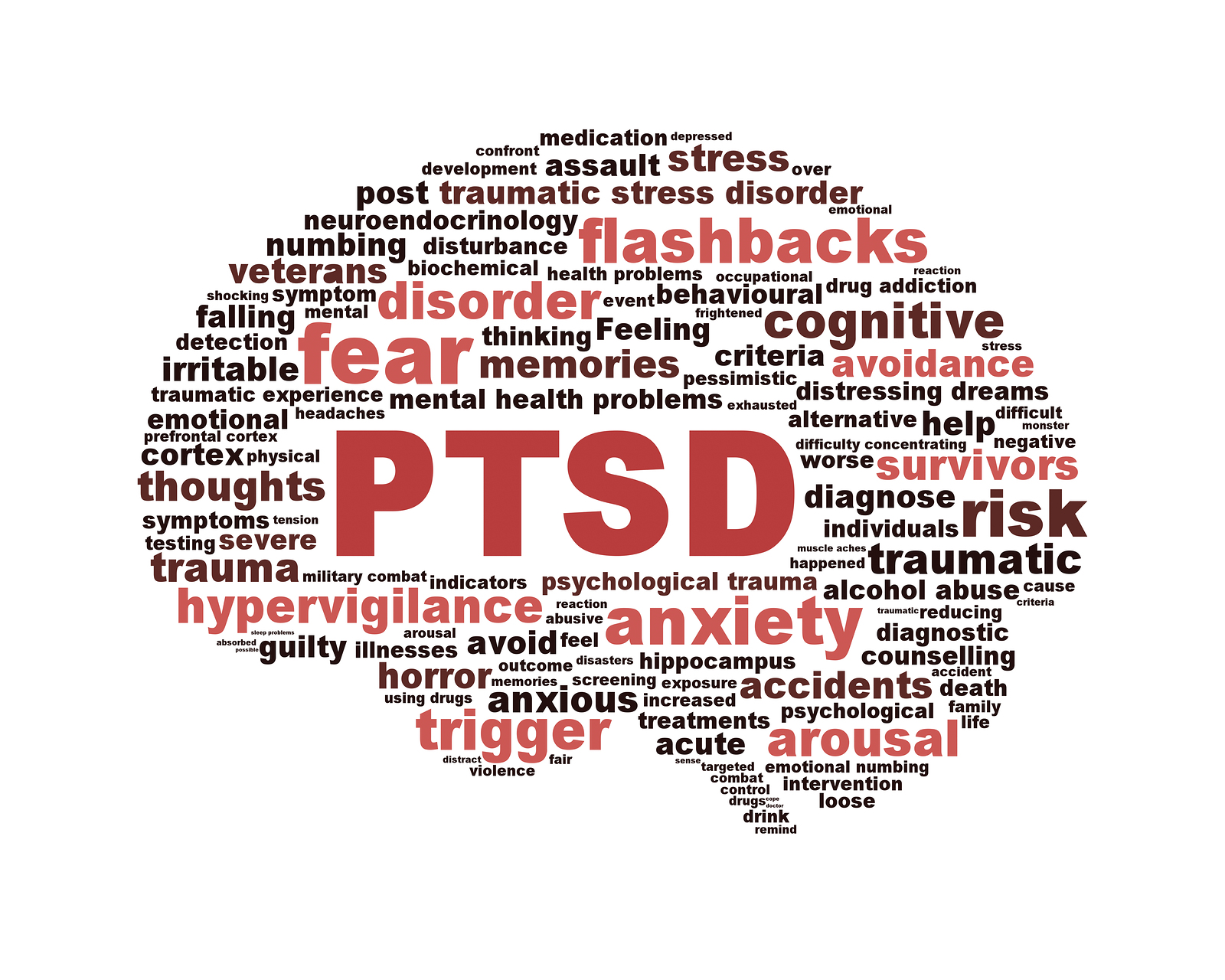 PTSD The Silent Struggle