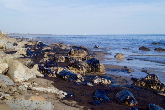 Rocks at Refugio State Beach covered in crude oil that spilled from an Plains All-American Pipeline onshore (Photo Courtesy: Tamlorn Chase)