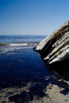 Oil meets rock at the Refugio Beach oil spill. Photo: Tamlorn Chase