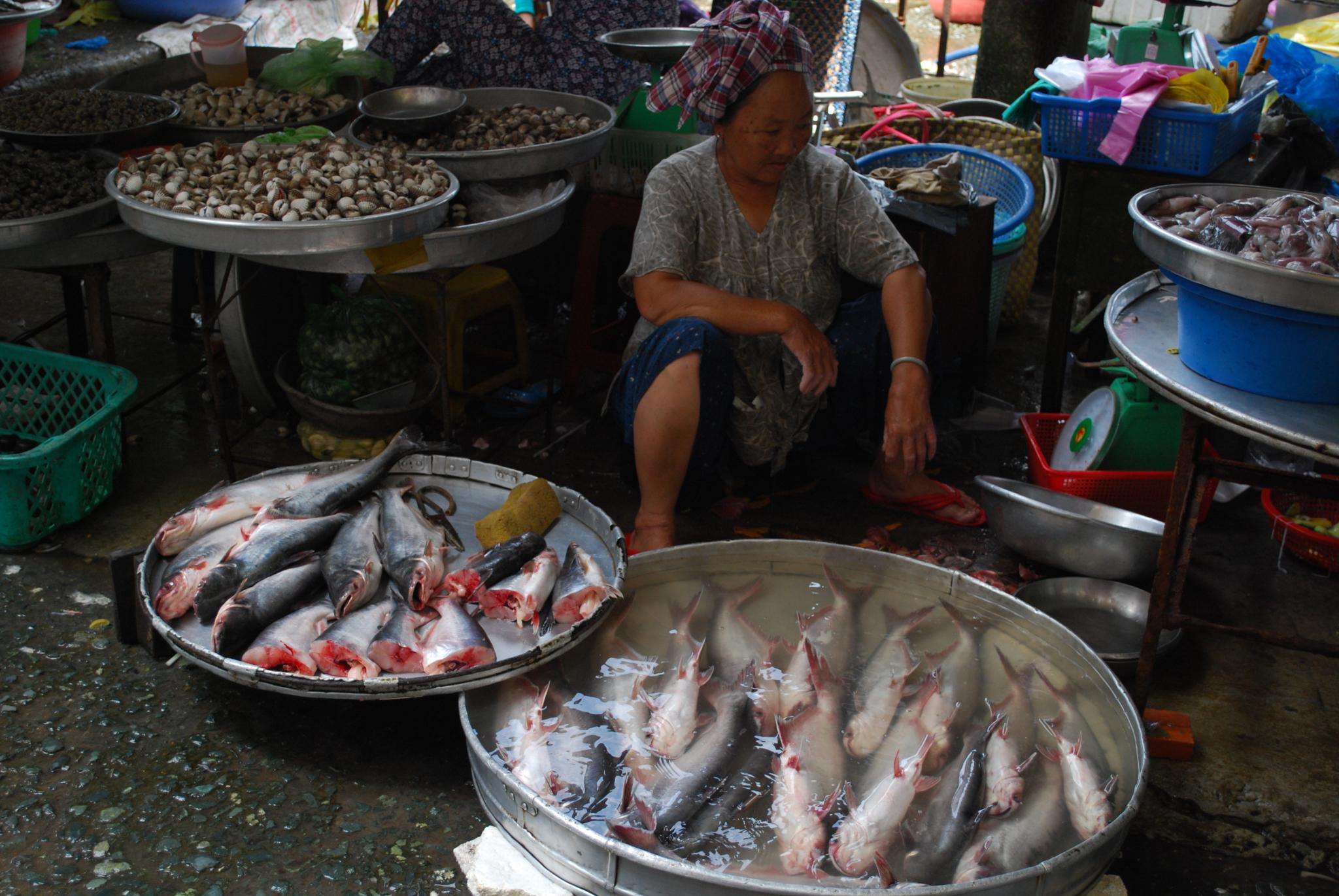 fishing-for-slavery-the-thai-fishing-industry