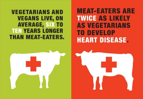 42 Percent of Vegetarians are between the ages of 18-35 