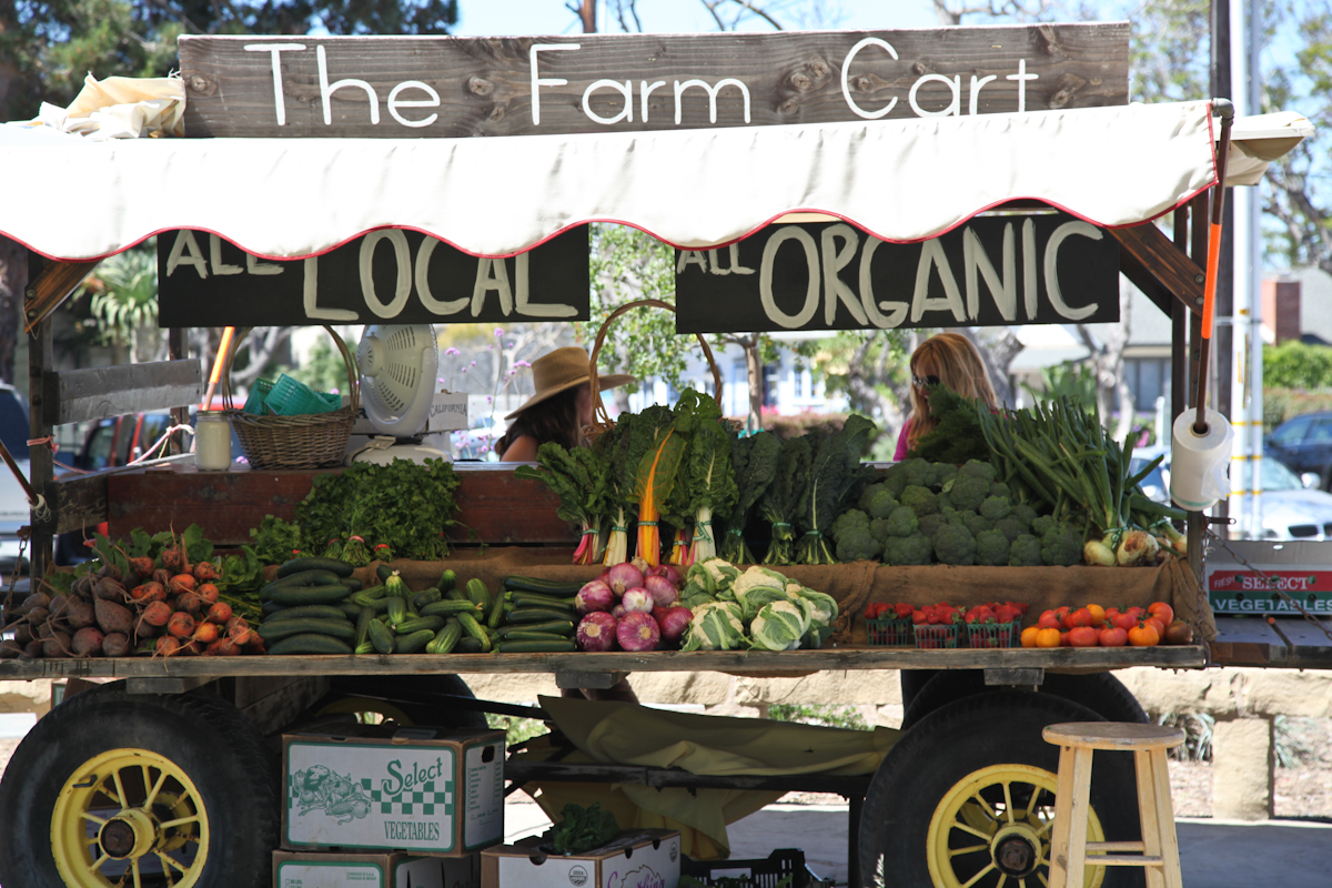 Why Carpinteria is an Up and Coming Tourist Destination