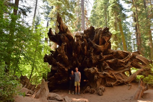 This summer was bigger than I expected during recent trip to Yosemite. -Dylan Broyles 