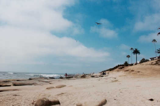 This is why I've been trying to spend all my free summer days. La Jolla, San Diego -Niki Cohen 