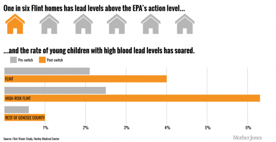 Household Lead Levels