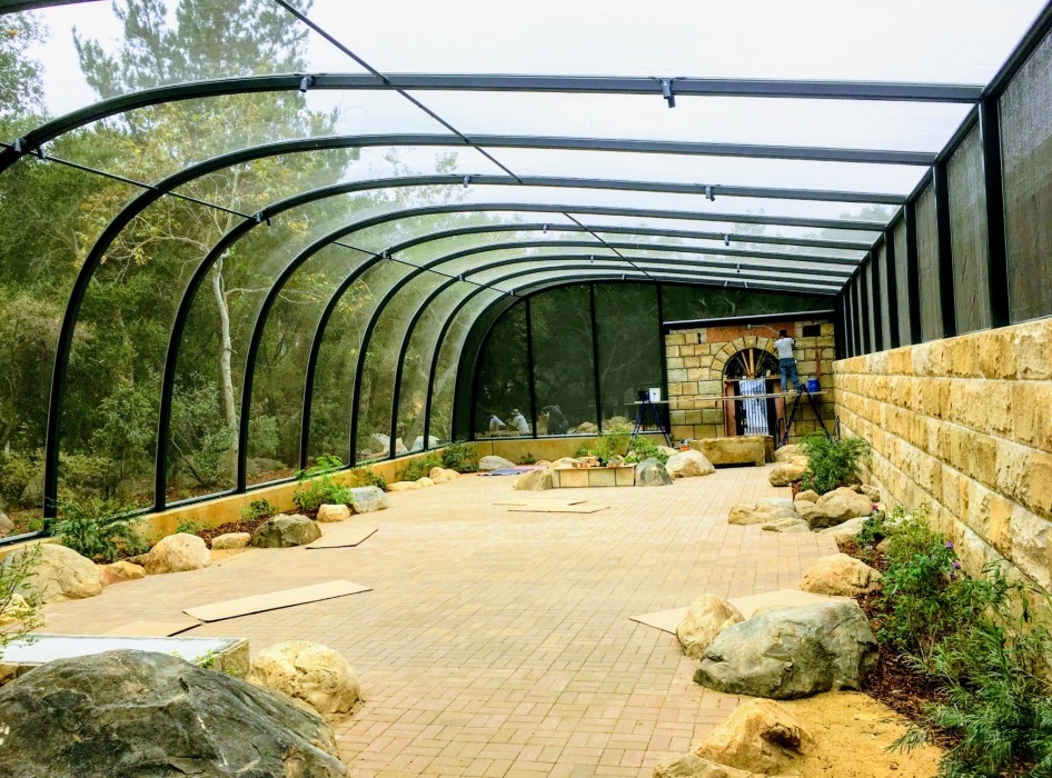 “Butterflies Alive” at the Museum of Natural History!